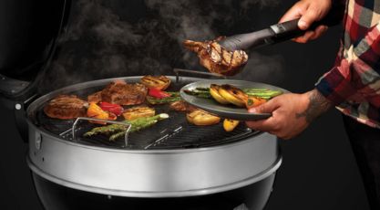 Barbecue charbon Napoleon Pro22k_1